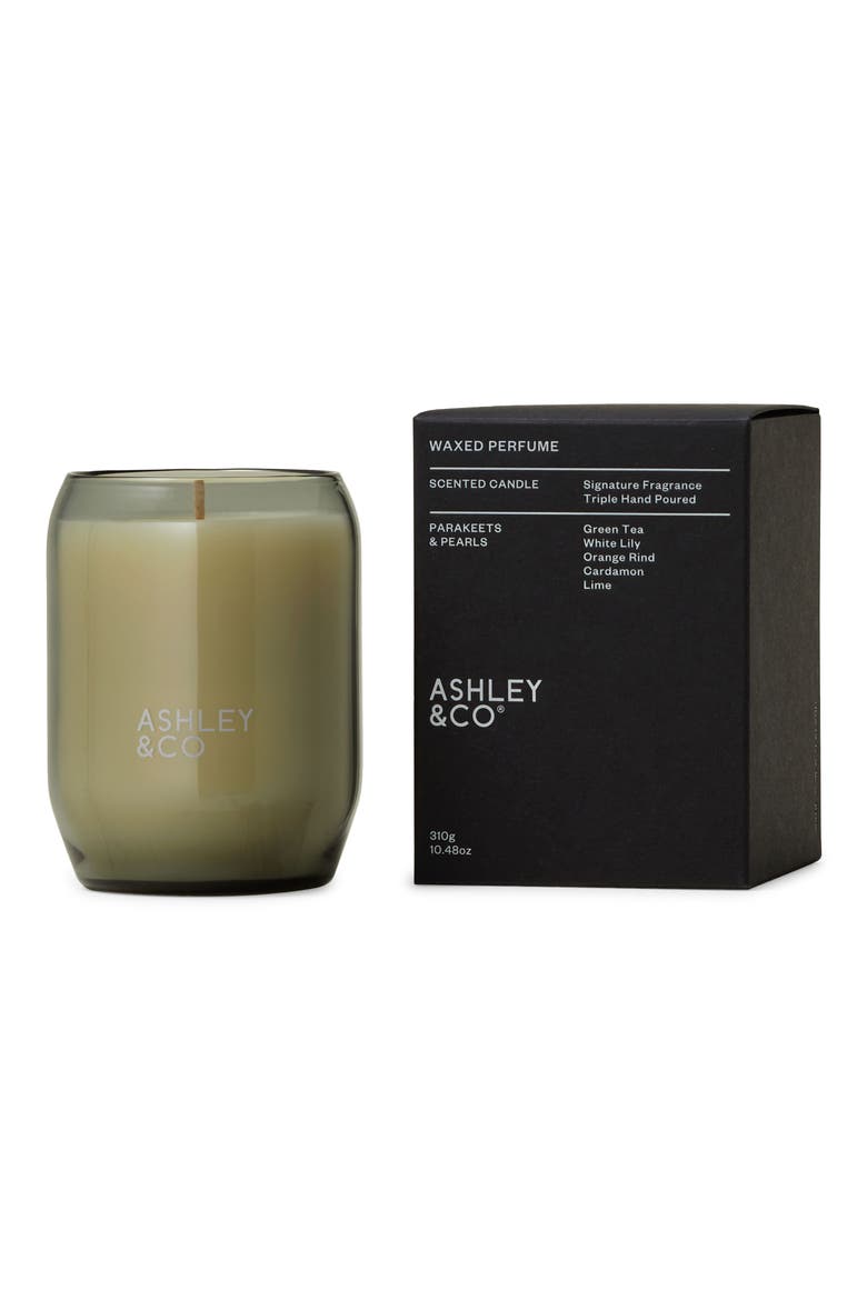 Waxed Perfume Scented Candle, Alternate, color, PARAKEETS PEARLS