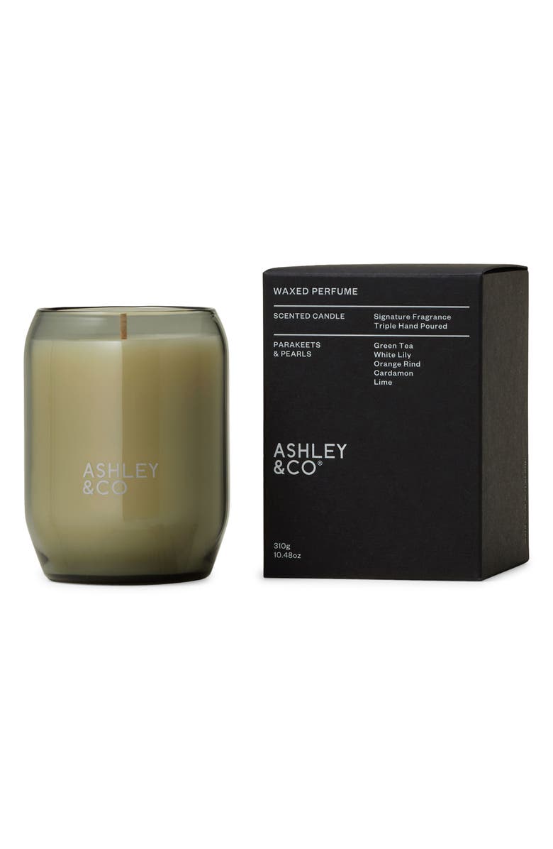 ASHLEY & CO Waxed Perfume Scented Candle, Alternate, color, Parakeets Pearls