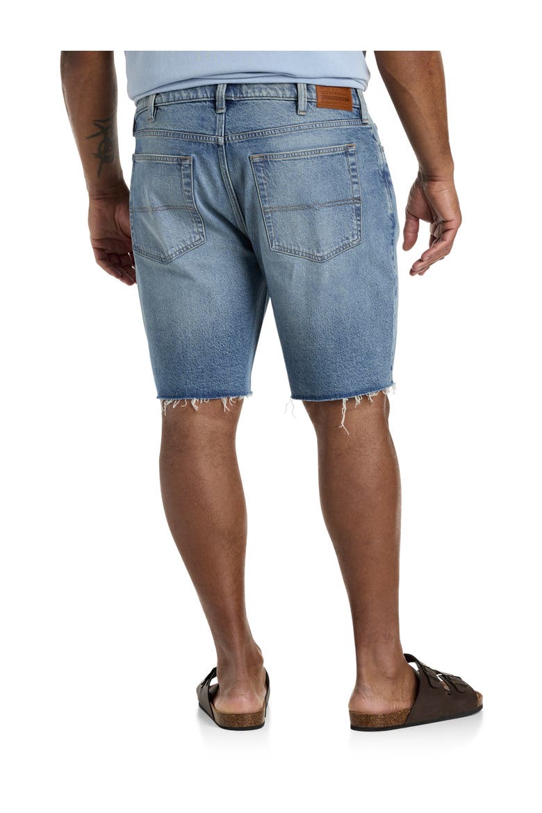 Big & Tall Abbott Denim Shorts, Alternate, color, ABBOTT