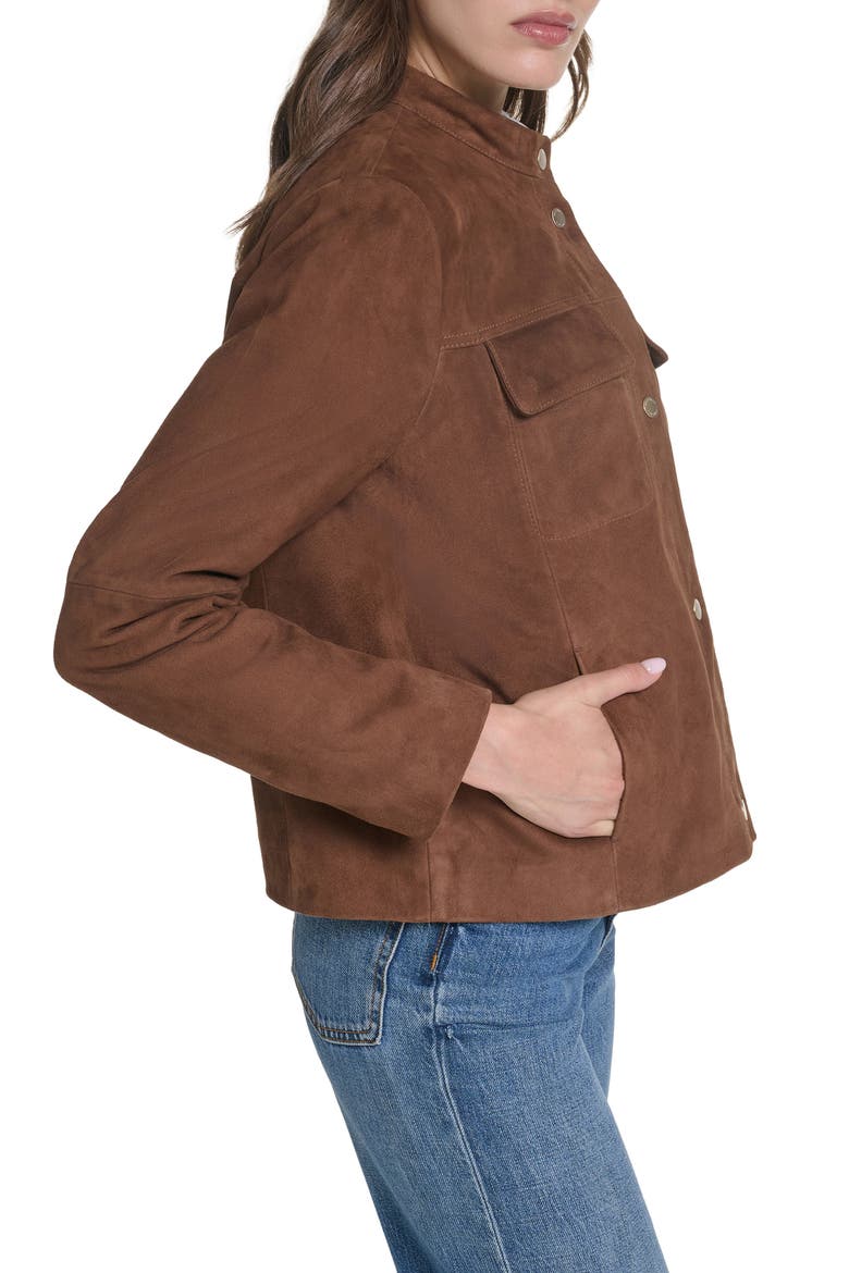 Convertible Collar Leather Jacket, Alternate, color, CHOCOLATE