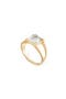 selected Iridescent Pearl/ Gold