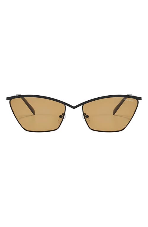 Fifth & Ninth Devon 57mm Polarized Cat-eye Sunglasses In Brown