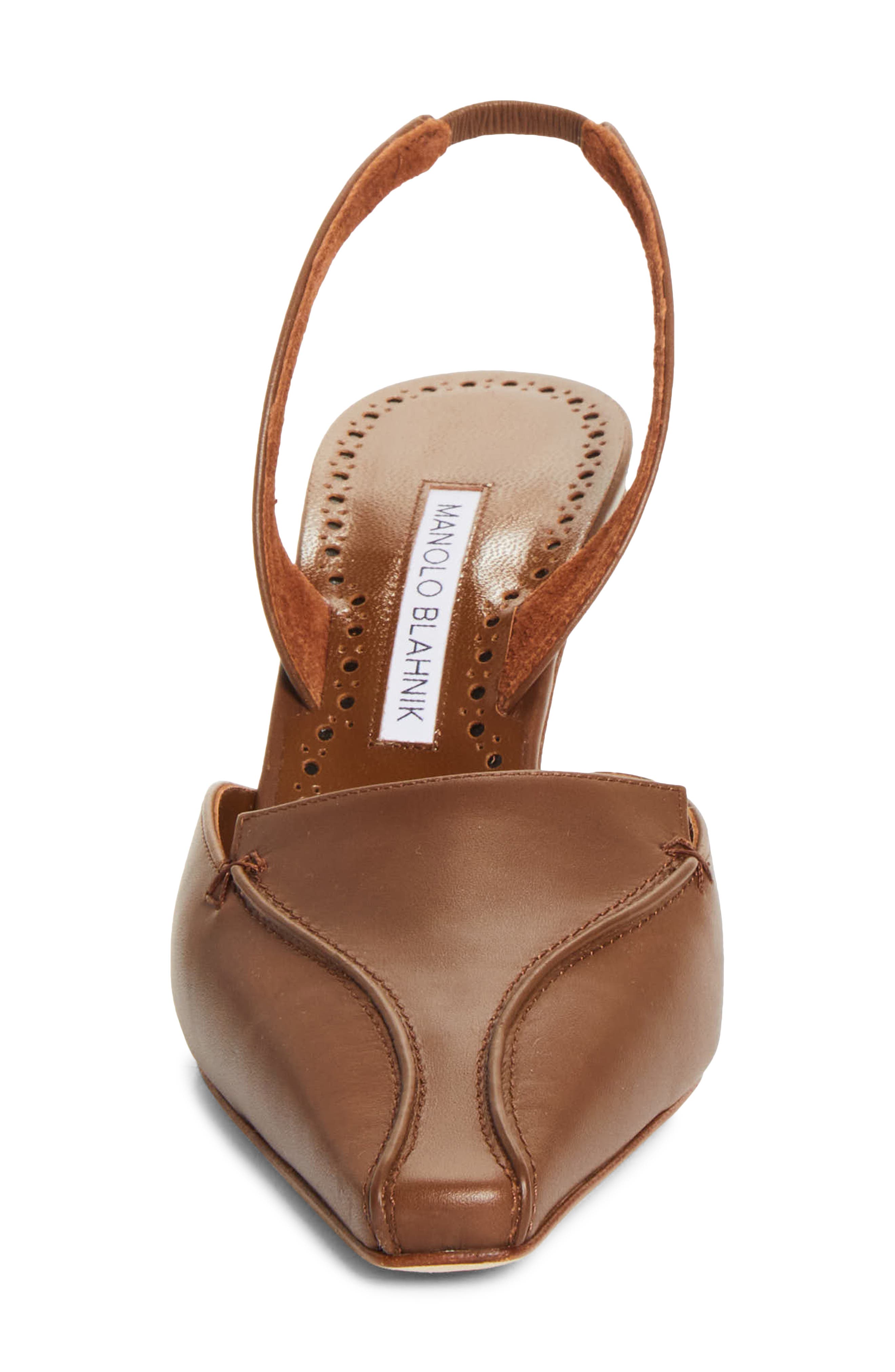Cleosli Pointed Toe Slingback Pump, Alternate, color, BROWN