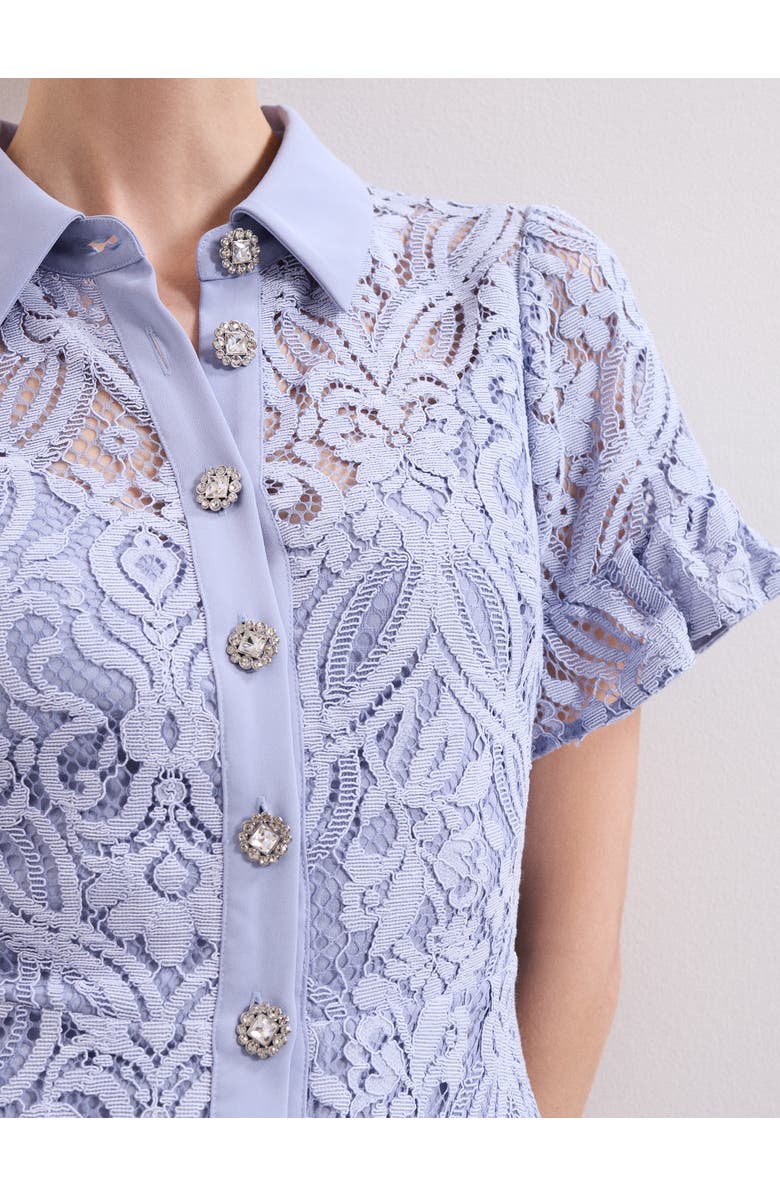 Phase Eight Carmine Lace Dress, Alternate, color, Pale Blue