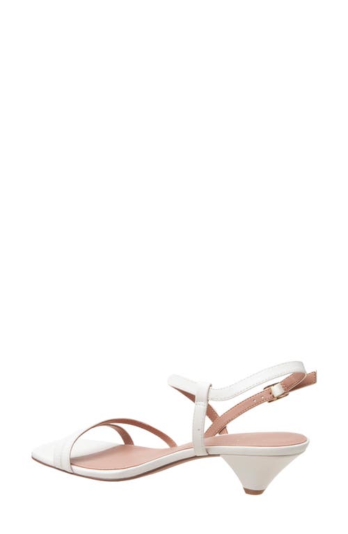 Linea Paolo Cannes Strappy Sandal