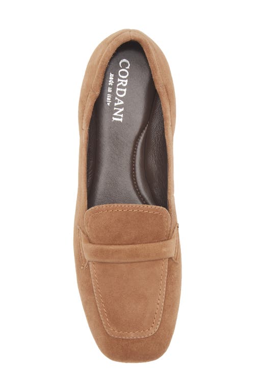 Cordani Myla Loafer In Brown