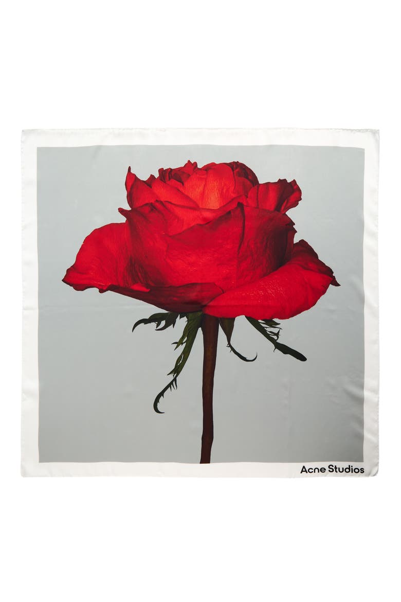 Vasco Rose Midsummer Silk Square Scarf, Main, color, WHITE RED
