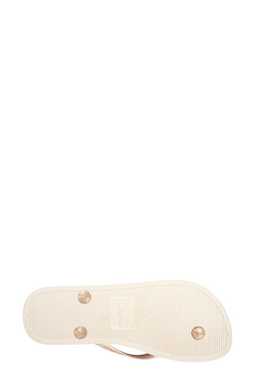Ipanema Anatomica Tan Gold Flip Flops In Beige/gold