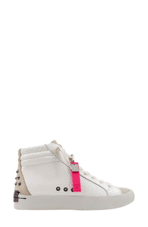 Shushop Reese High Top Sneaker In Brown