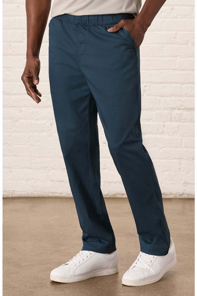 Organic Cotton Daily Twill Midweight Pant, Alternate, color, French Navy