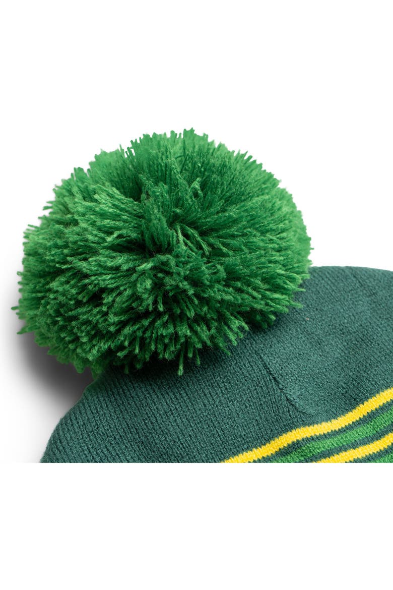 Fleece Lined Beanie Hat, Alternate, color, Forest Green Yellow