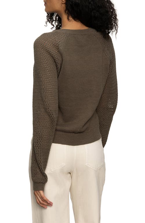 Sanctuary Perfect Time Cotton Sweater In Brown