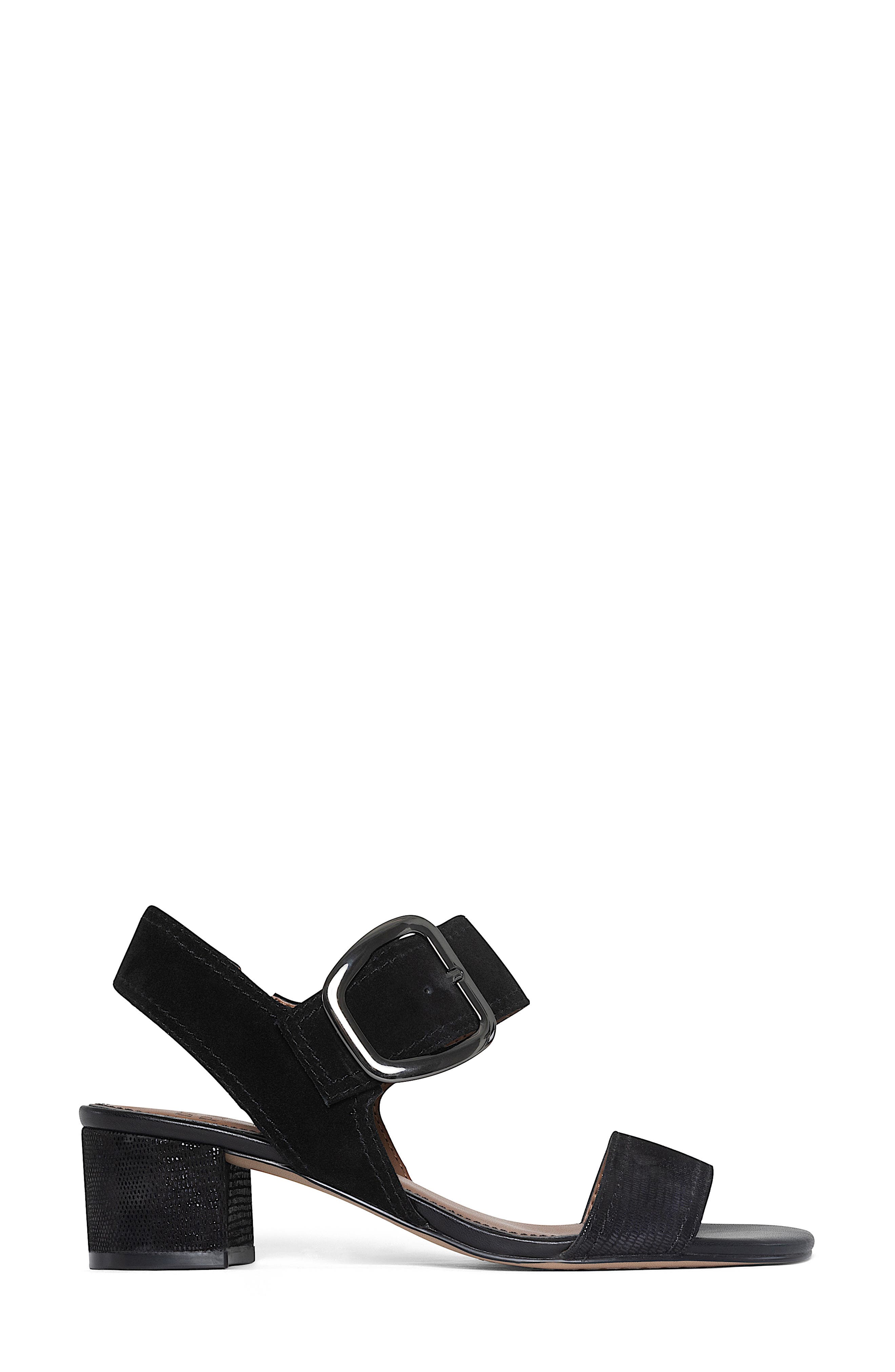 Donald Pliner Ankle Strap Sandal, Alternate, color, Black