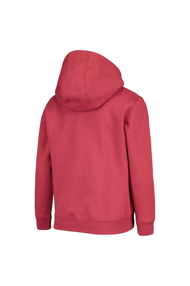 Youth Cardinal Arizona Cardinals Primary Team Logo Pullover Hoodie, Alternate, color, Cardinal