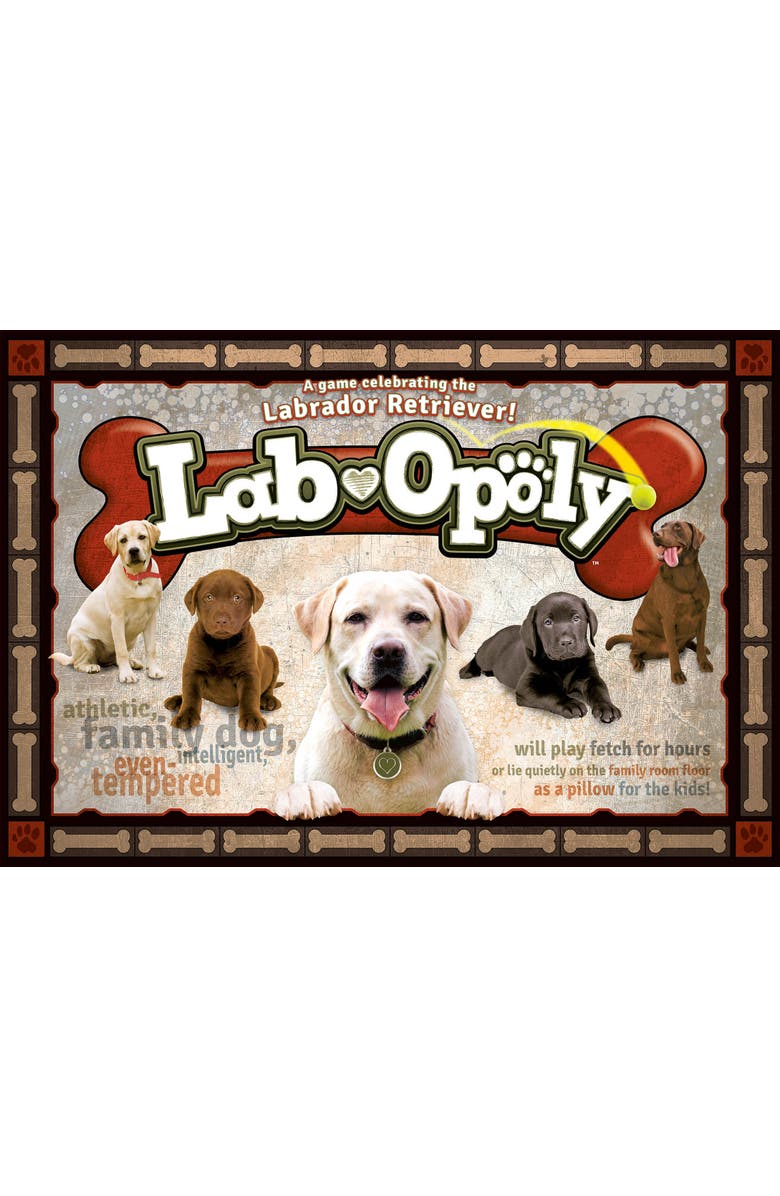 Late for the Sky Labopoly Monopoly Board Game, Alternate, color, Multicolored