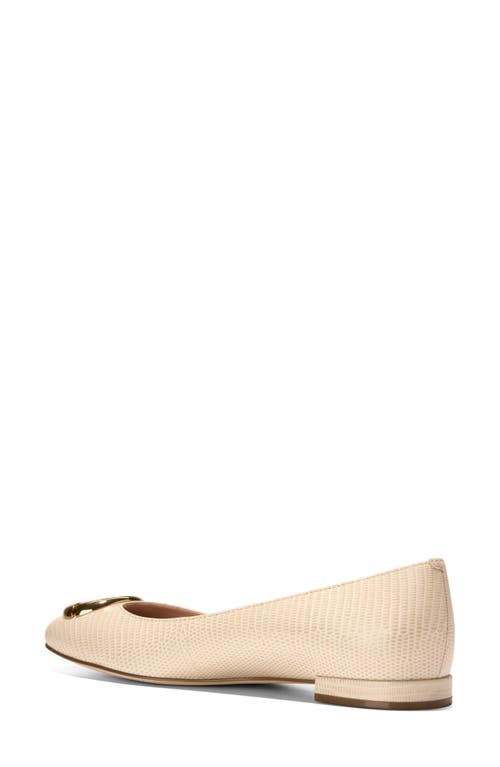 Cole Haan Skylar Ballet Flat