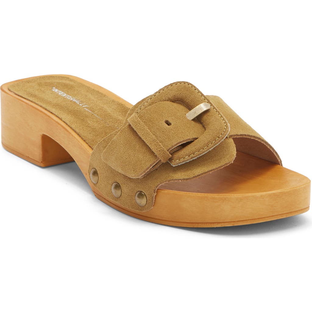 Intentionally Blank Mar Clog Sandal In Brown