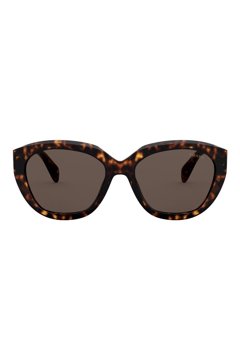 56mm Cat Eye Sunglasses, Main, color, HAVANA