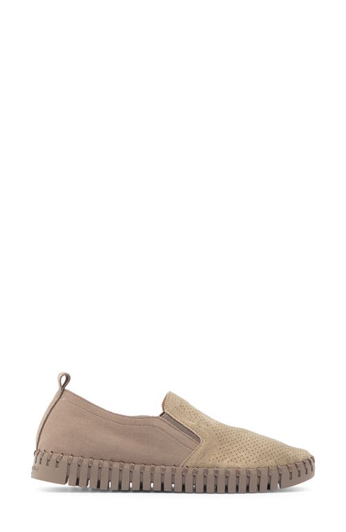 Ilse Jacobsen Tulip Perforated Slip-on Sneaker