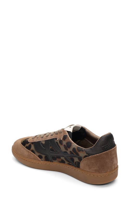 Ash Sunset Sneaker In Brown