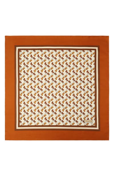 style board product image