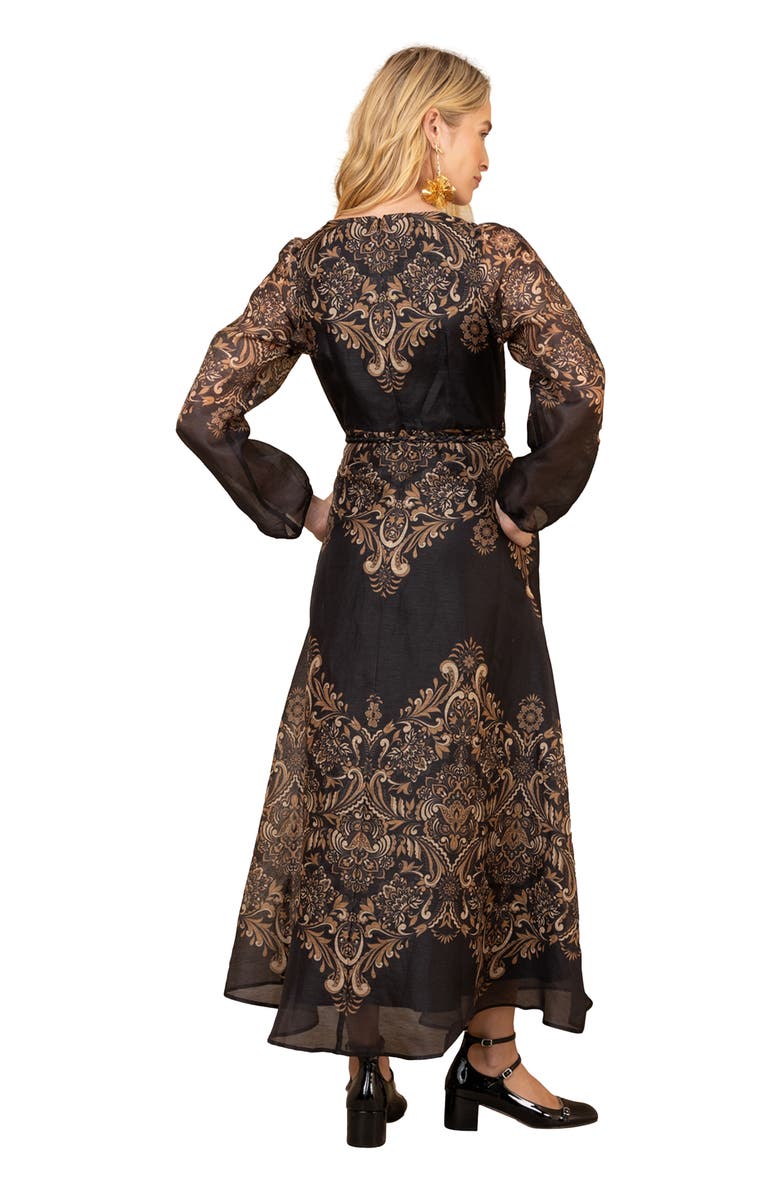 Hale Bob Aspyn Organza Maxi Dress, Alternate, color, Black