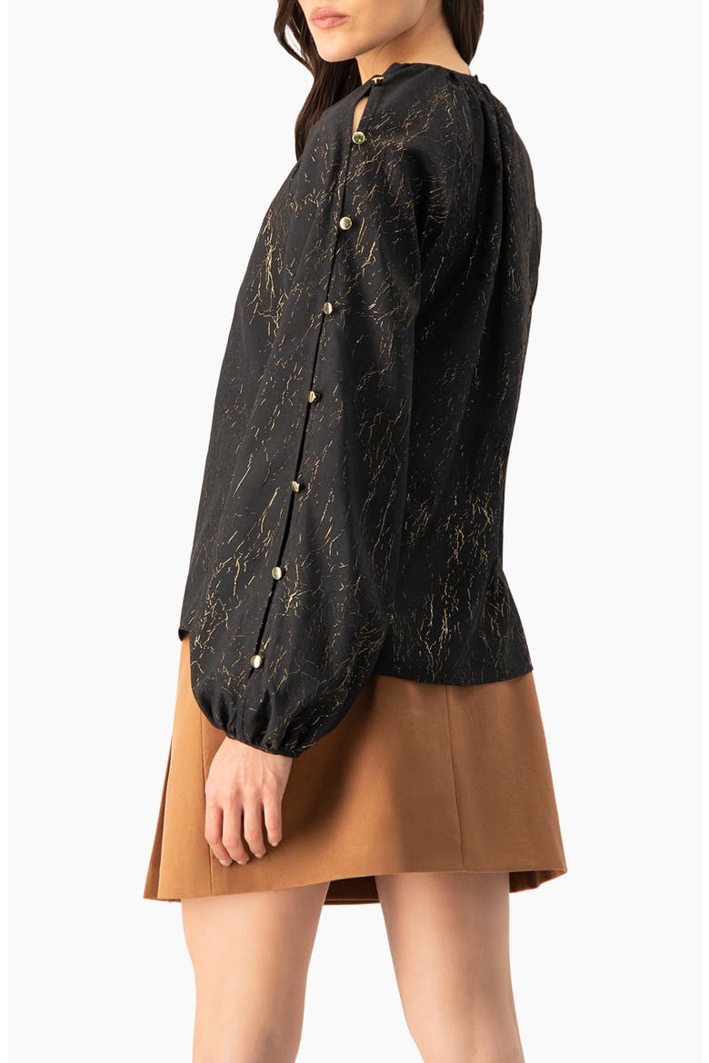 Long Sleeve V-Neck Blouse, Alternate, color, Black