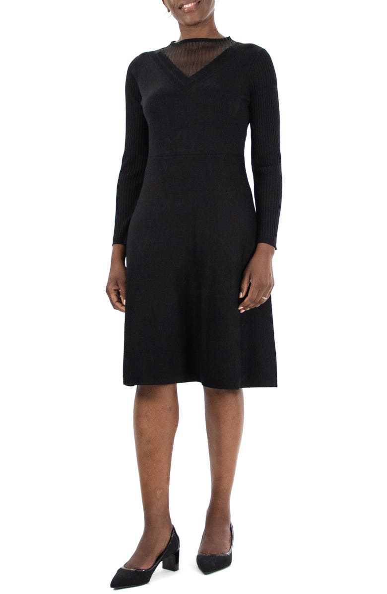Nina Leonard Sheer Knit Inset Sweater Dress, Main, color,