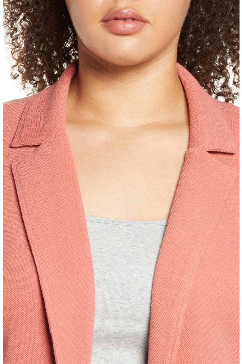 Raw Edge Knit Blazer, Alternate, color, PINK CEDAR