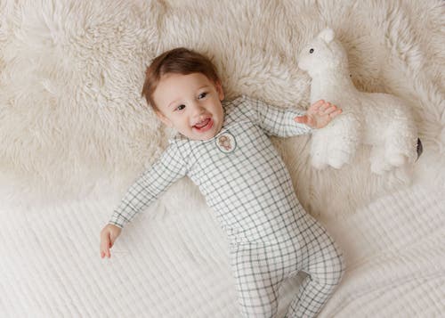 Ely's & Co. Modal French Terry Plaid Sheep Collection In Green