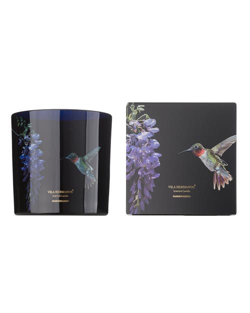 Vila Hermanos Vila Jungletropia Candle In Jar In Black