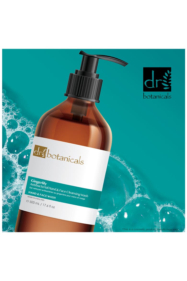 Gingerlily Antibacterial Hand & Face Cleansing Wash, Alternate, color, NO COLOR
