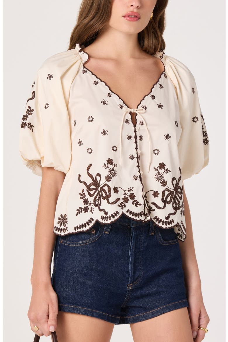 Lucia Embroidered Balloon Sleeve Top, Alternate, color, CREAM