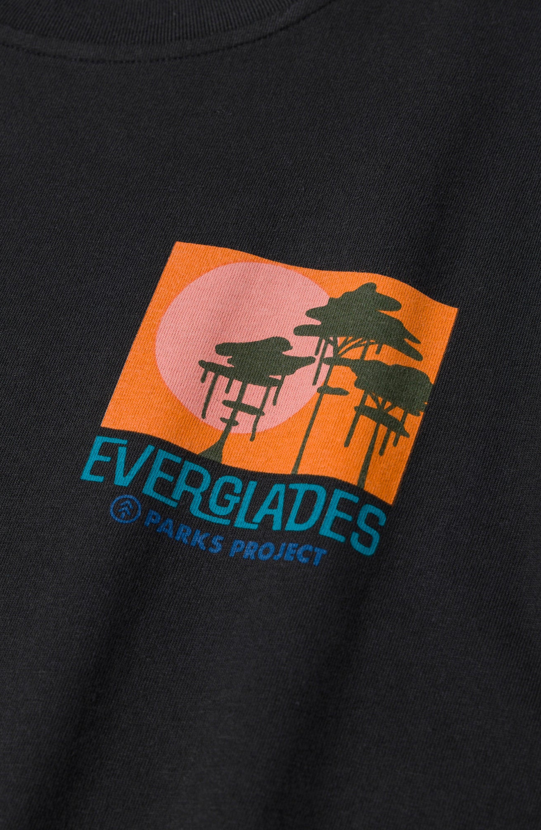 Parks Project Everglades Tour Tee, Alternate, color, Vintage Black