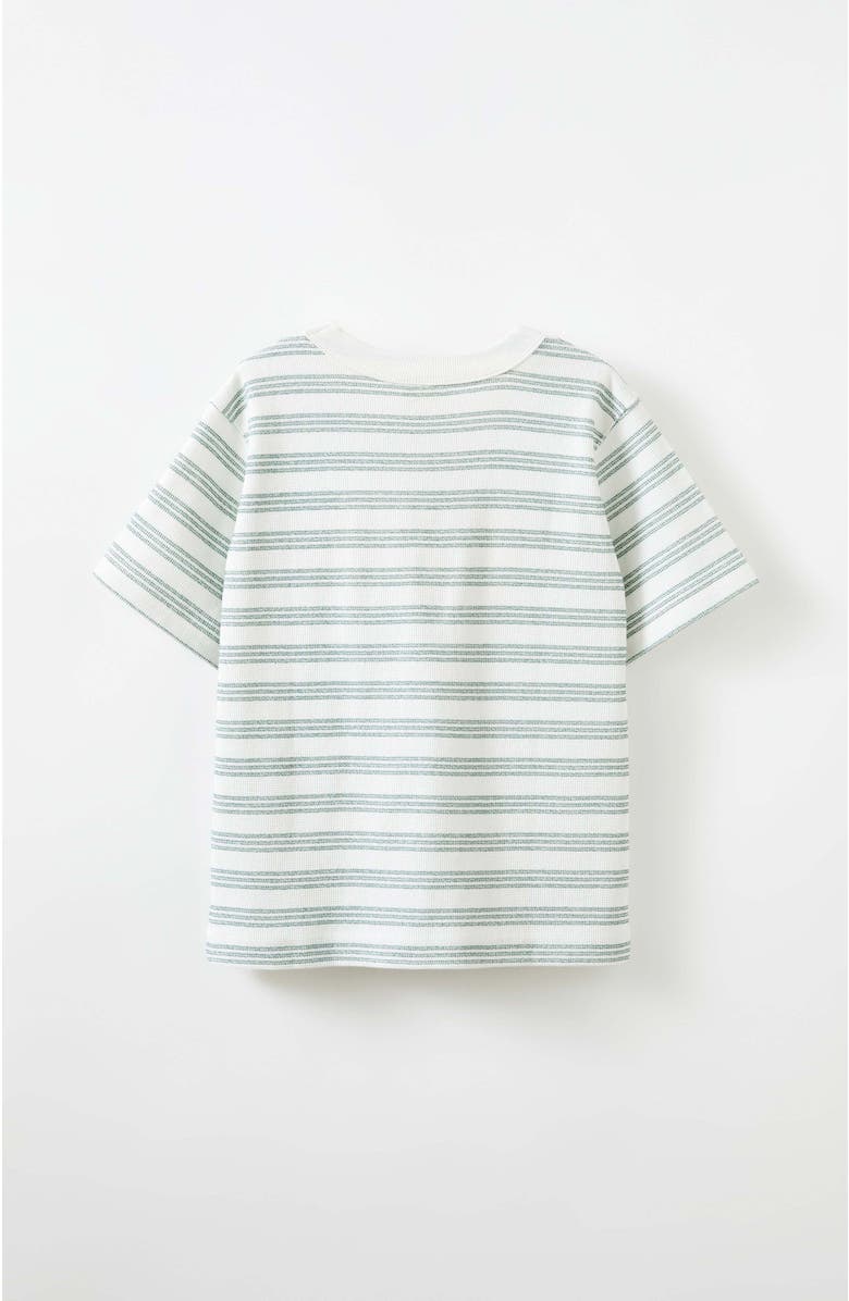 Cotton On Kids Kid's Thomas Textured Short Sleeeve Tee, Alternate, color, 