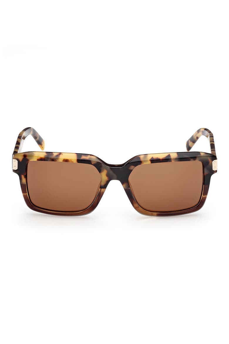 54mm Polarized Square Sunglasses, Main, color, HAVANA/ OTHER / ROVIEX
