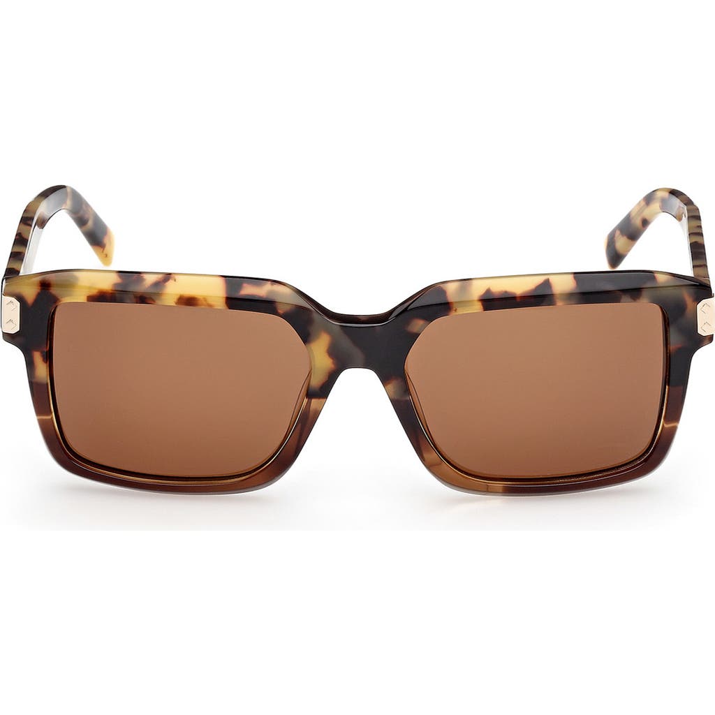 MCM 54mm Polarized Square Sunglasses in Havana/Other /Roviex  product