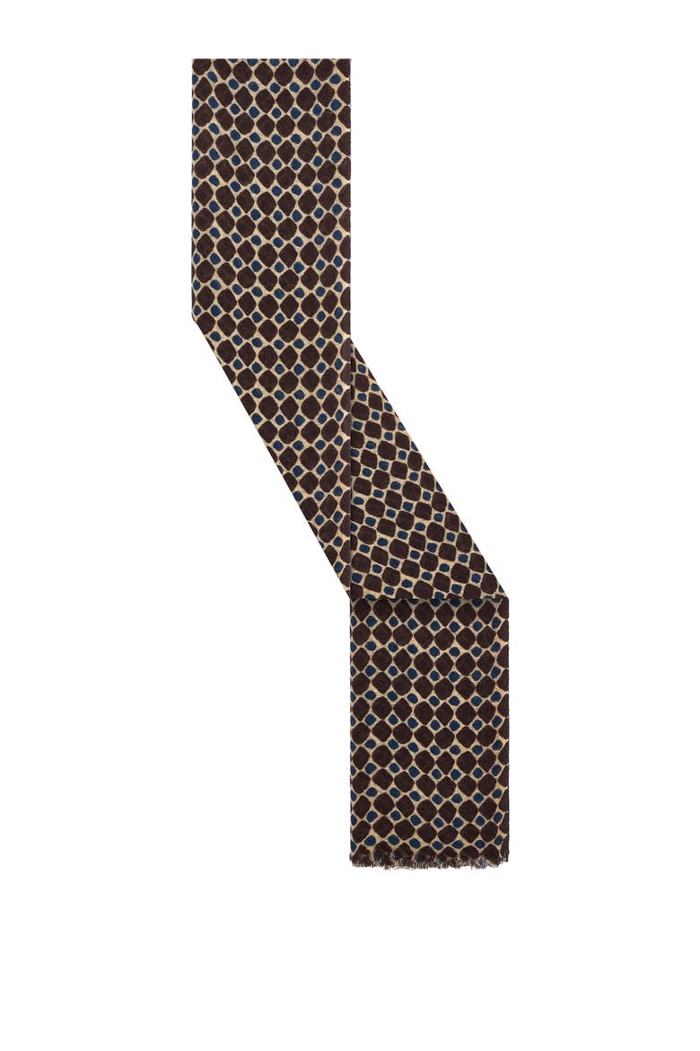 Sany Geometric Print Scarf, Alternate, color, Brown