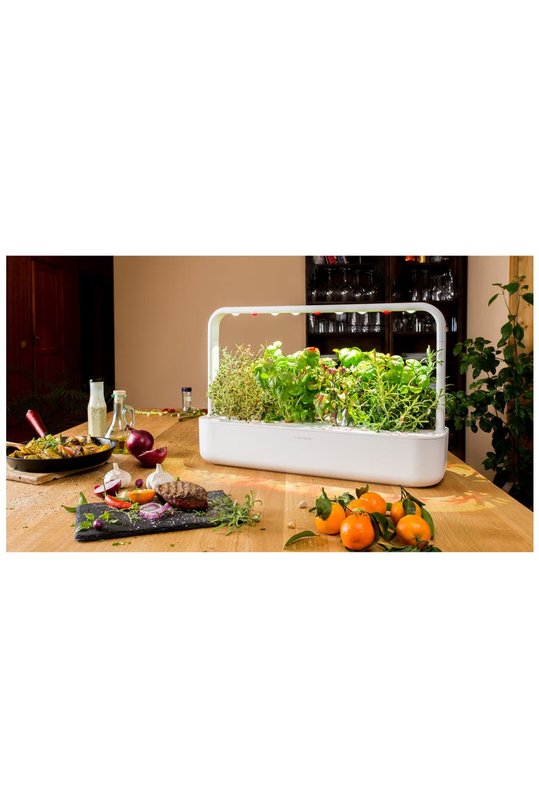 Smart Garden 9 Self Watering Indoor Garden, Alternate, color, GREY