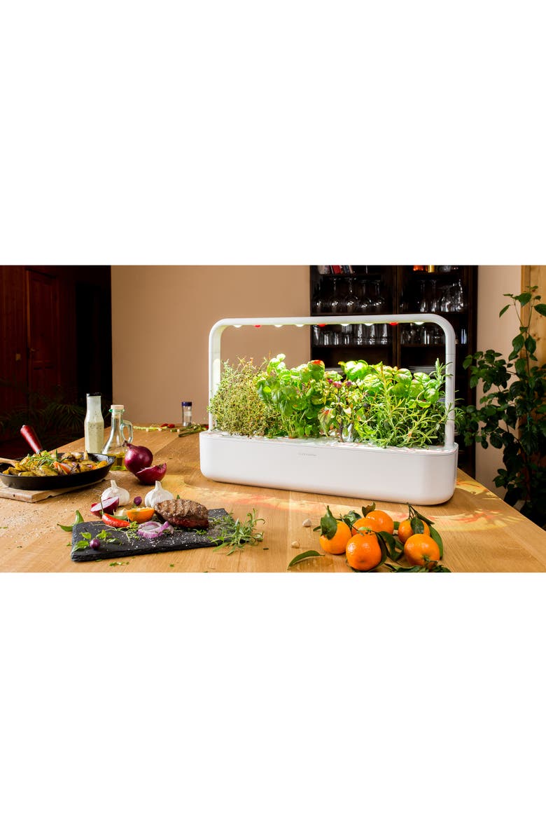 Click & Grow Smart Garden 9 Self Watering Indoor Garden, Alternate, color, Grey