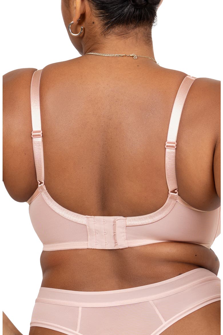 Sheer Mesh Plunge T-Shirt Bra, Alternate, color, BLUSHING ROSE