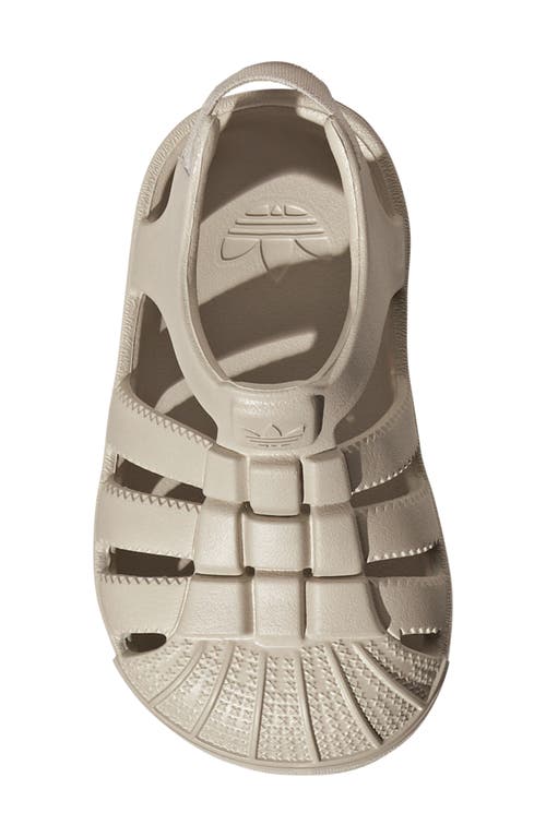 Adidas Originals Adidas Kids' Superstar Slingback Sandal