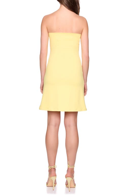 Susana Monaco Core Strapless Tube Minidress In Gold
