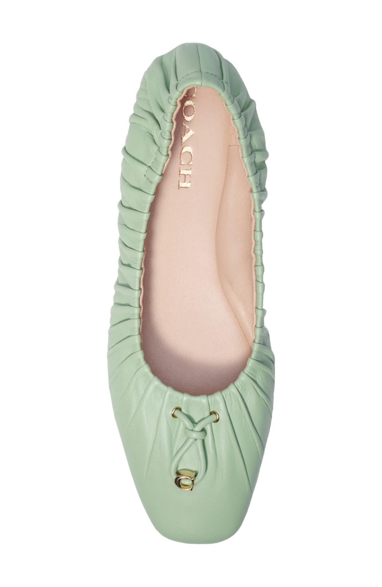 Eleanor Leather Flat, Alternate, color, PALE PISTACHIO
