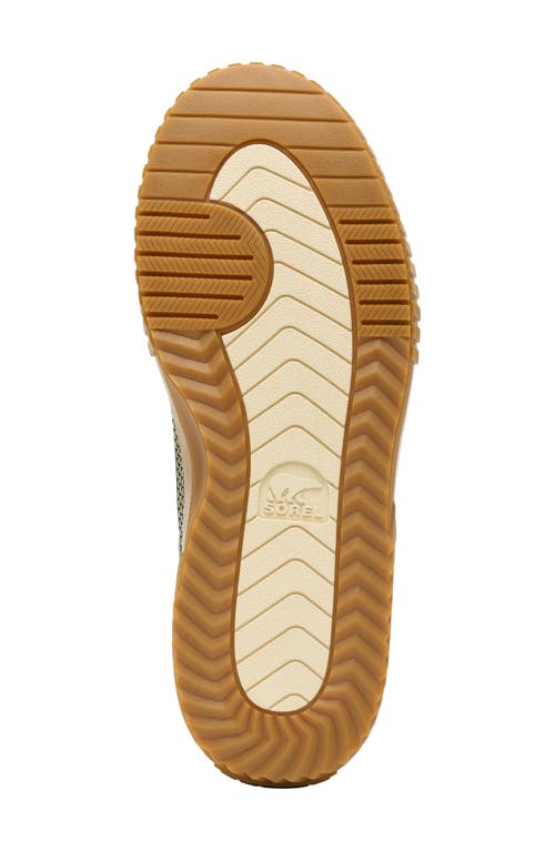 Sorel Ona Ave T-toe Platform Sneaker In Green