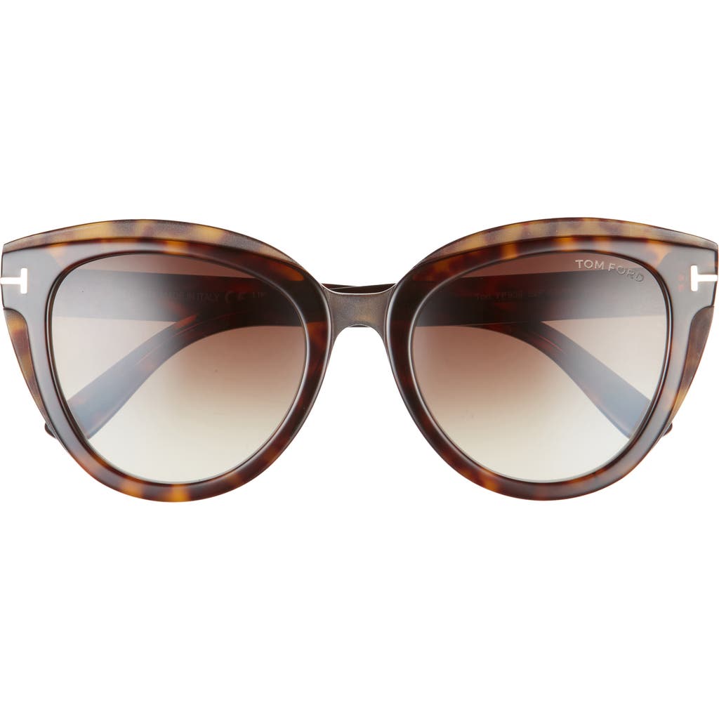 Tom Ford Tori 53mm Cat Eye Sunglasses In Brown