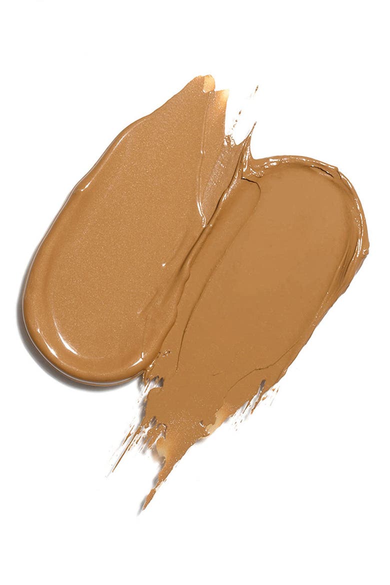 Dualist Matte & Illuminating Concealer, Alternate, color, RICH