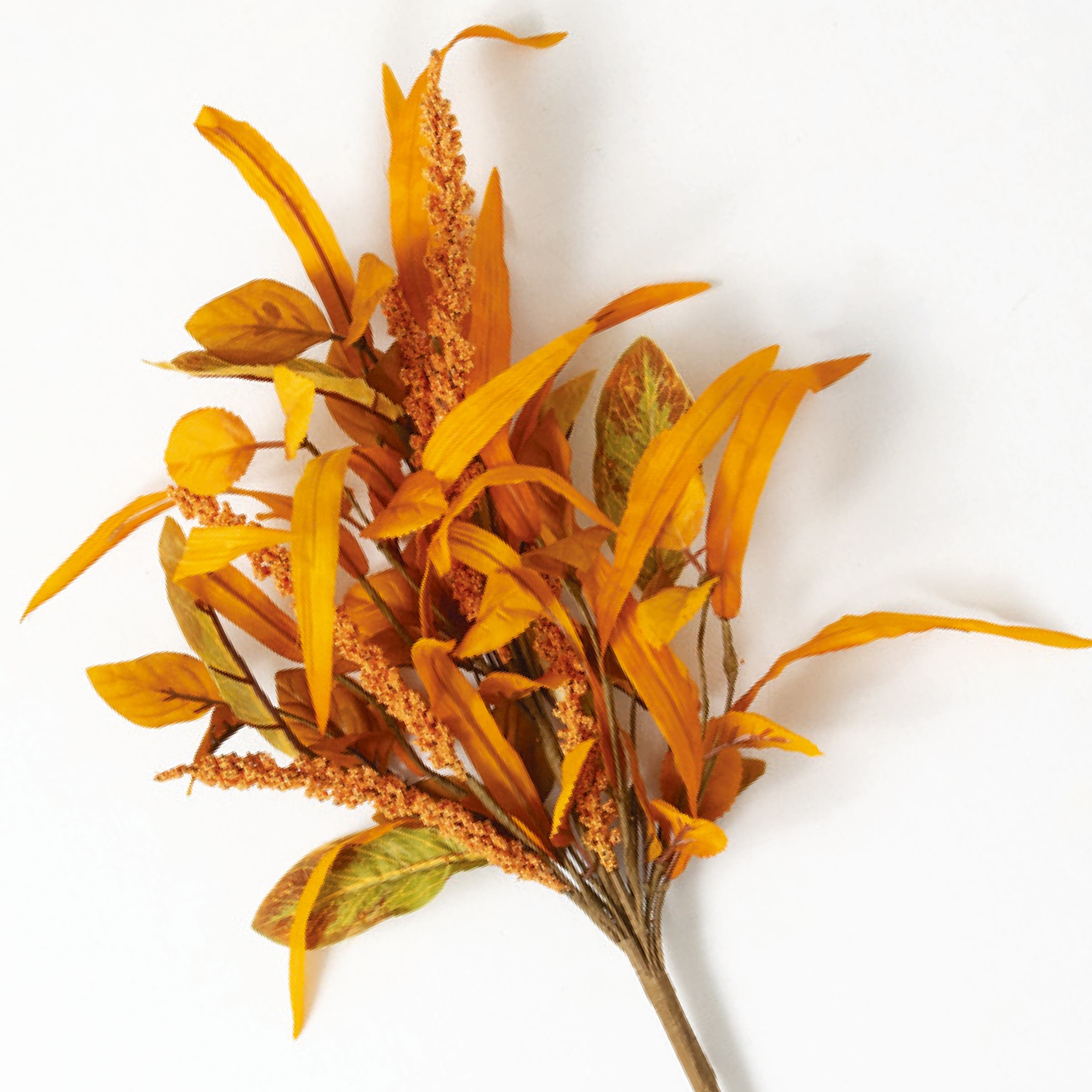 selected Orange