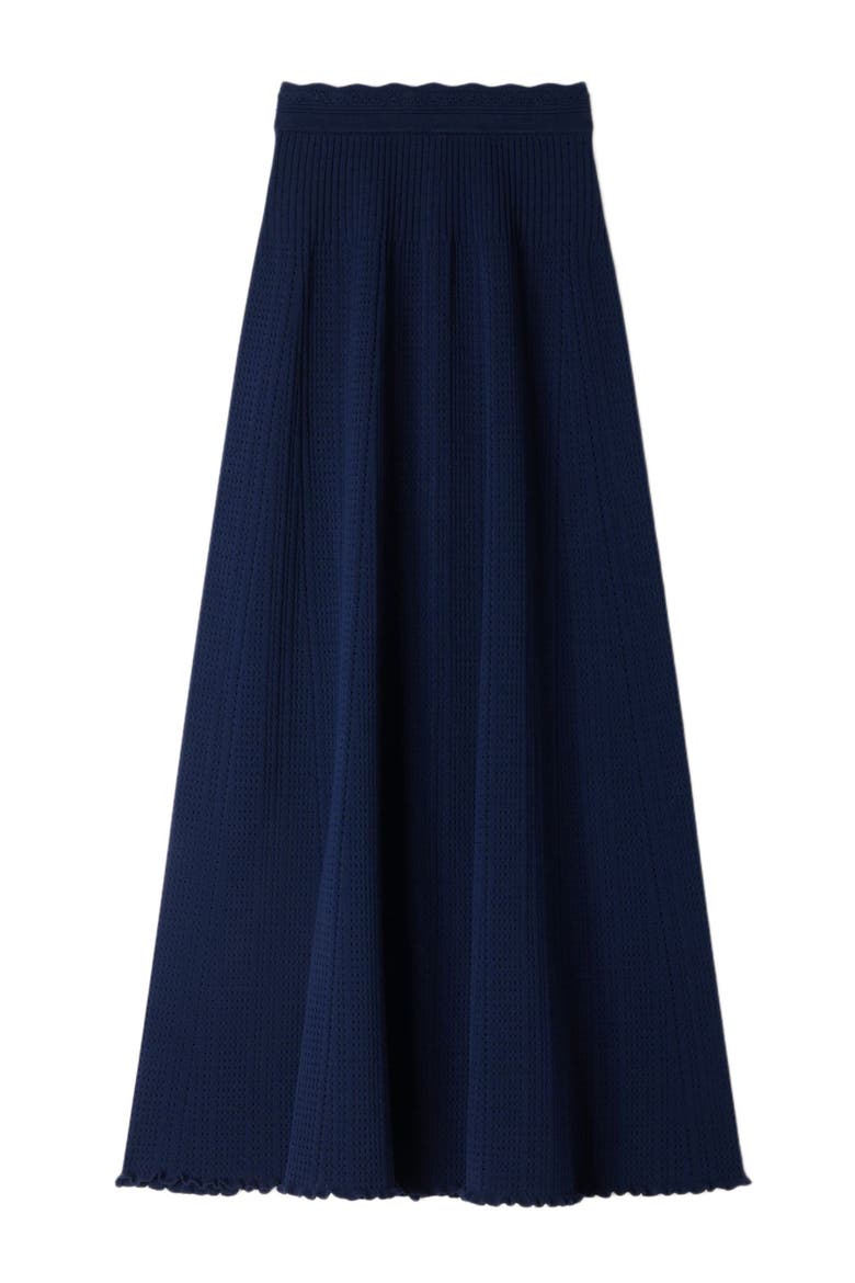 Pointelle knit maxi skirt, Alternate, color, Navy blue