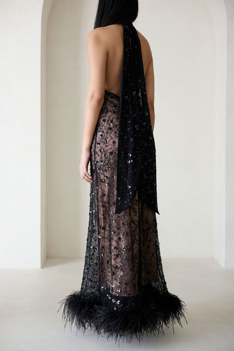Maliya Shadow Lace Feather Dress, Alternate, color, Black Lace